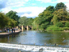 Bakewell